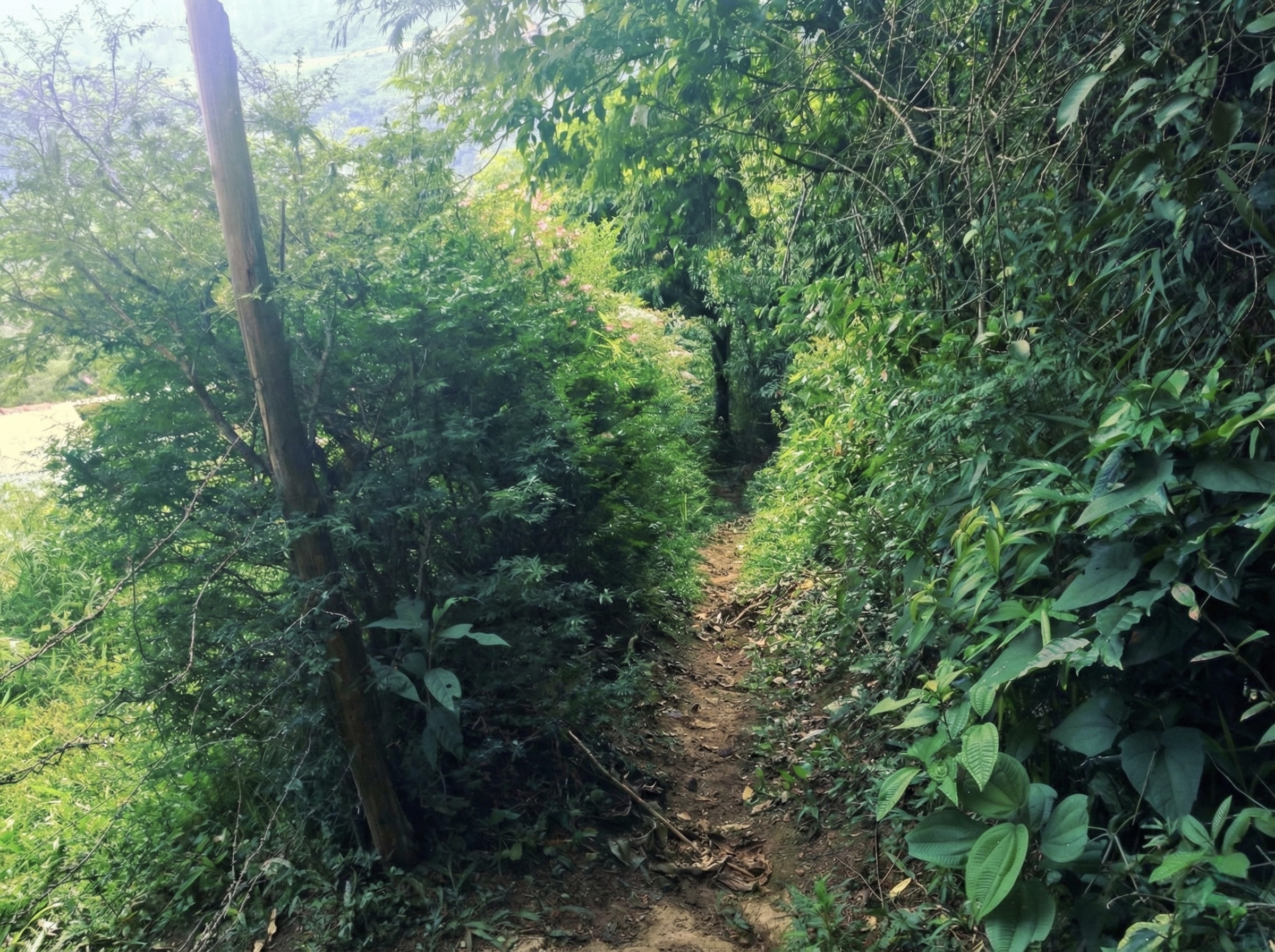 Cachoeira